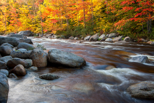 Stream flowing through a forest with orange and yellow autumn foliage and large rocks.