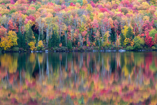 Autumn forest reflected in a calm lake