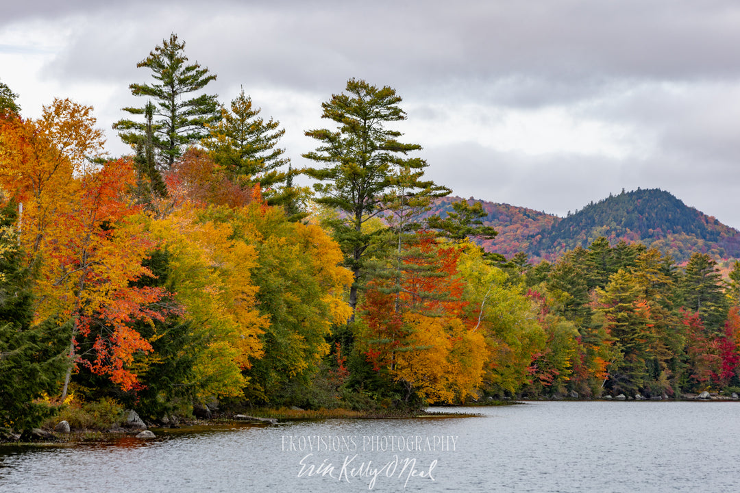 Quiet Pond at Fall Peak