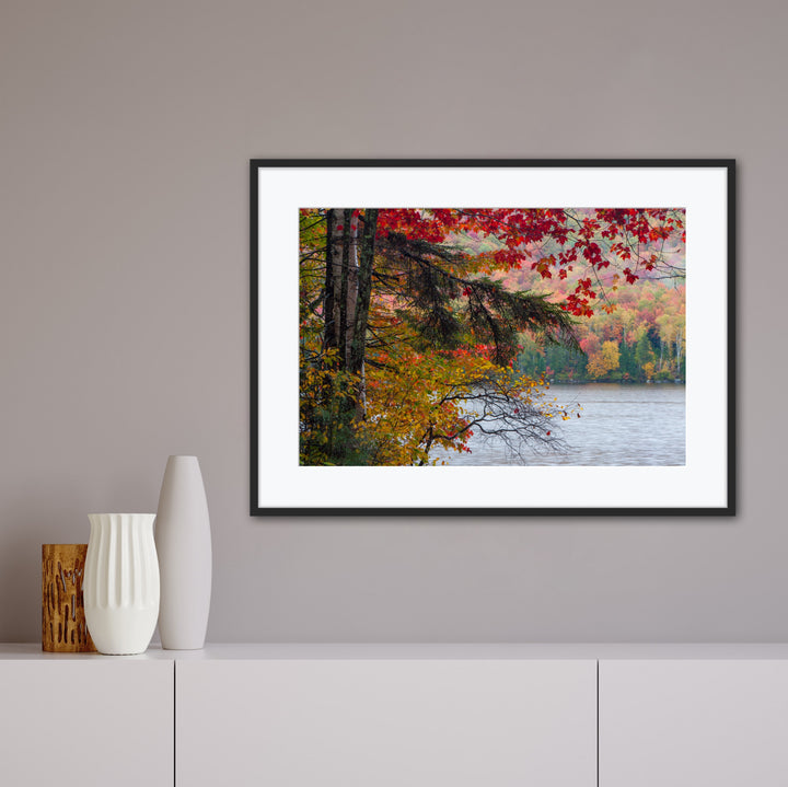 Framed artwork of a autumn landscape with trees and water on a wall.