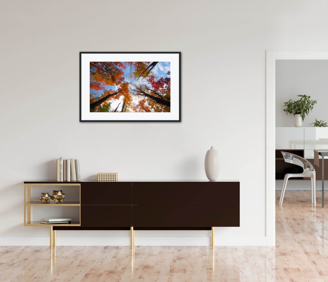 Framed artwork of trees against a blue sky in a modern living room.