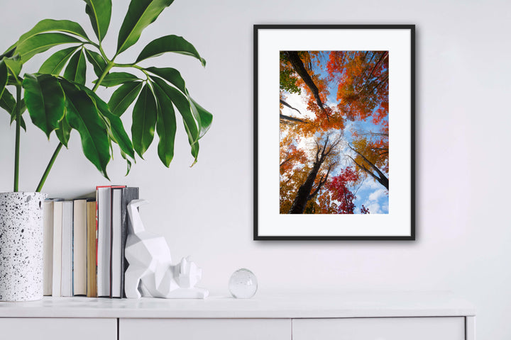 Framed artwork of trees with autumn foliage on a white wall above books and decor items.