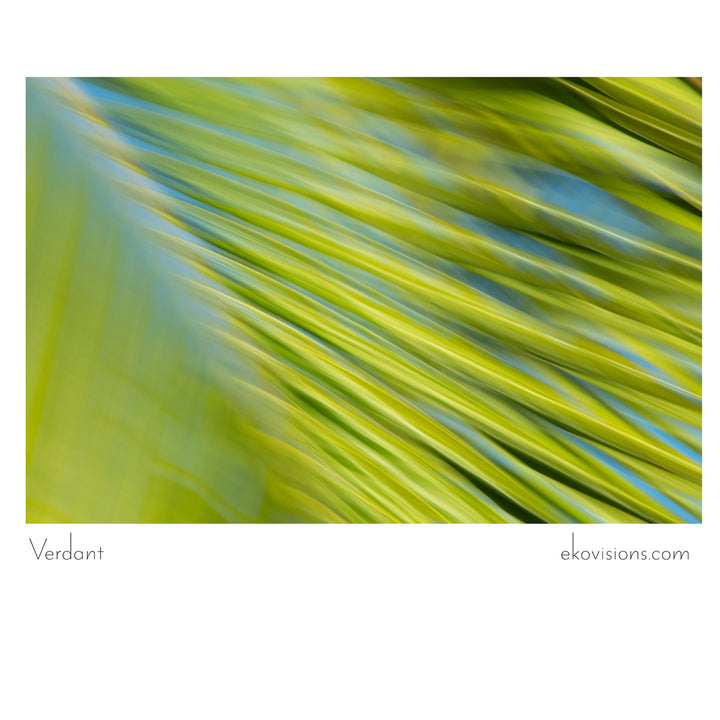 Verdant